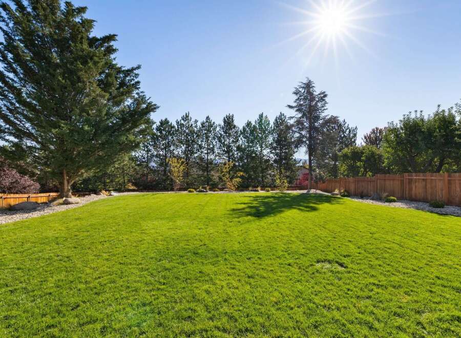 Enjoy the expansive, sun-drenched backyard, perfect for outdoor entertaining and recreation.