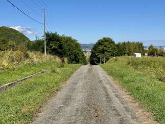 Land for sale in Shimogoku