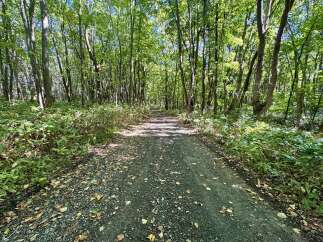 Land for sale in Shimogoku