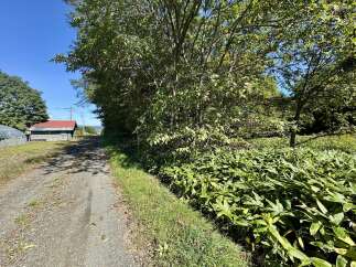 Discover this charming rural property featuring a rustic shed with a red roof, perfect for storage or a workshop.