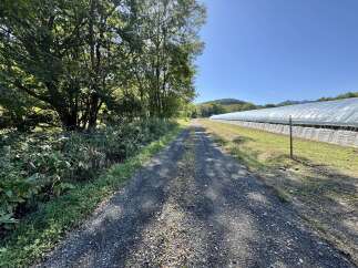 Discover a unique property featuring a long, gravel driveway leading through lush greenery.