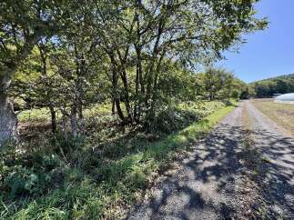 Discover this charming property featuring a gravel driveway leading through lush greenery and mature trees.
