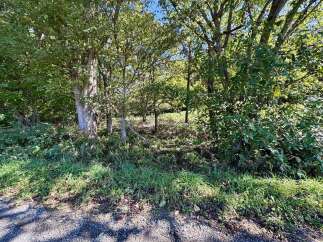 Discover the natural beauty surrounding this property, featuring mature trees and lush greenery that create a serene and private atmosphere.