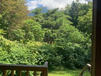 Escape to nature with this stunning view from your private deck, overlooking lush greenery and a majestic mountain peak shrouded in clouds.