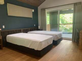 Experience comfort and tranquility in this spacious hotel room featuring two twin beds, perfect for solo travelers or friends.