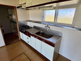 Discover this charming kitchen featuring a gas stovetop and a deep stainless steel sink, perfect for meal preparation.