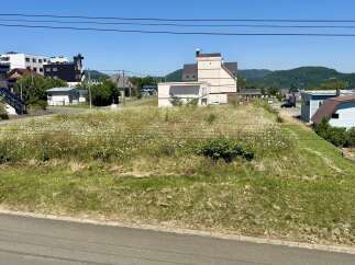 Discover this charming property featuring a spacious lot with abundant wildflowers and lush greenery, perfect for outdoor enjoyment.