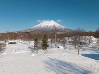 Land in Kondo