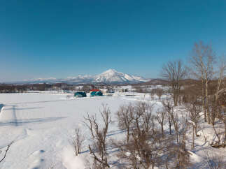Experience the serene beauty of a winter wonderland with this picturesque landscape.