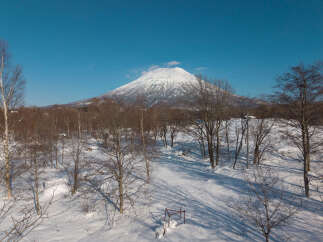 Experience the serene beauty of winter with this stunning property offering breathtaking views of a snow-capped mountain.