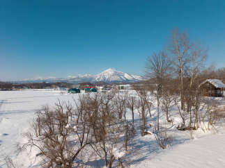 Experience the serene beauty of a winter wonderland with this picturesque landscape.