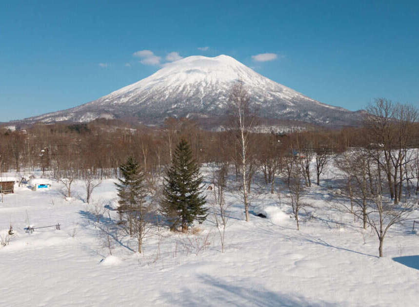 Experience the serene beauty of a snow-covered landscape with a majestic, snow-capped mountain as the backdrop.