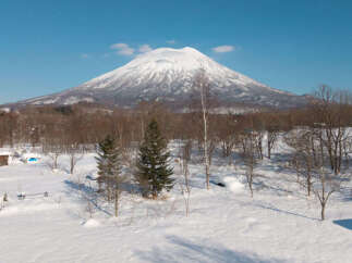 Experience the serene beauty of a snow-covered landscape with a majestic, snow-capped mountain as the backdrop.