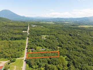 Discover this expansive forested lot, perfect for building your dream home or a secluded retreat.