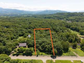 Discover this expansive wooded lot, perfect for building your dream home or a secluded retreat.