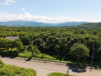 Discover this serene property nestled amidst lush greenery and rolling hills, offering a tranquil escape.