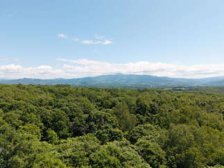 Experience breathtaking panoramic views from this elevated property, offering a serene escape amidst lush greenery.