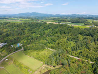 For Sale in Toyamachi