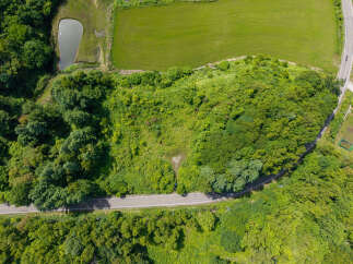 Discover this stunning aerial view showcasing a serene landscape with a tranquil pond and lush green fields, perfect for agricultural or recreational development.