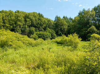 Discover this serene natural landscape, perfect for those seeking tranquility and a connection with nature.