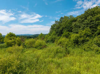 Discover this stunning property featuring lush green landscapes and rolling hills, perfect for those seeking a serene escape.