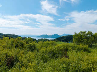 Discover breathtaking natural beauty with this stunning landscape featuring rolling green hills meeting a serene lake, all under a vast, cloud-dappled sky.