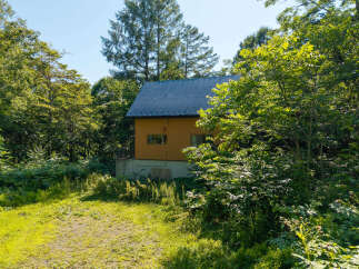Nestled amidst lush greenery, this charming property offers a serene retreat.