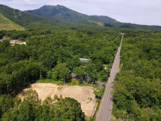 Discover this expansive cleared lot, perfect for your dream home or development project, nestled amidst lush greenery.