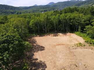 Discover this prime development opportunity nestled amidst lush greenery and rolling hills.