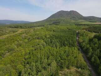 Land for sale in Shinyo