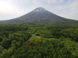 Land for sale in Shinyo