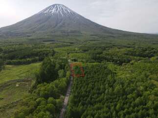 Land for sale in Shinyo