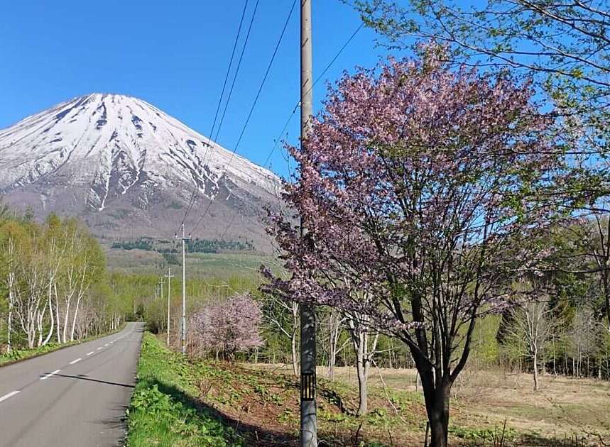 Experience the breathtaking beauty of Mount Fuji from this prime location.