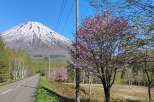 Experience the breathtaking beauty of Mount Fuji from this prime location.