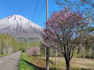 Experience the breathtaking beauty of Mount Fuji from this prime location.