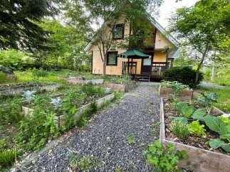 Discover your dream home with this charming yellow cottage, nestled amidst lush greenery and a thriving vegetable garden.