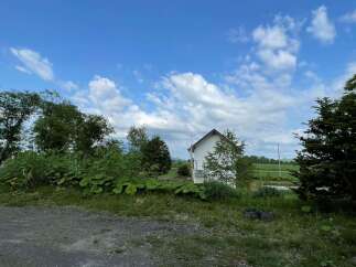 Discover this charming property featuring a quaint white house nestled amidst lush greenery and mature trees.