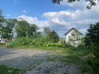 Discover this charming property featuring a cozy white house nestled amidst lush greenery and mature trees.