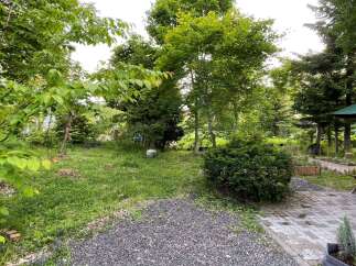 Discover a lush, green backyard oasis perfect for relaxation and outdoor living.
