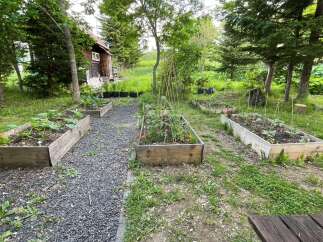 Discover a charming rustic retreat with a well-maintained garden, perfect for cultivating your own produce.