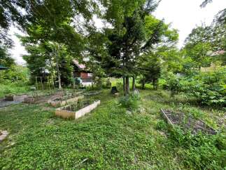 Discover a charming retreat with a rustic wooden cabin nestled amidst lush greenery and mature trees.