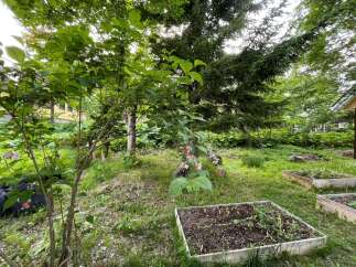 Discover a charming garden oasis with raised garden beds perfect for cultivating your own vegetables and flowers.