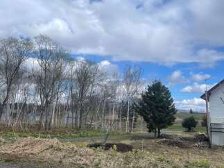 Discover this charming property featuring a mix of mature trees and open space, perfect for outdoor enjoyment.