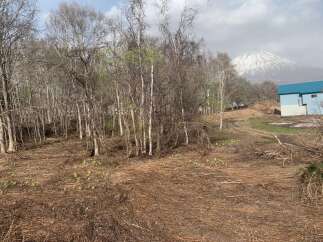 Discover a unique opportunity to build your dream home in a serene natural setting.