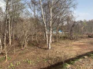 Discover the potential of this wooded lot, perfect for building your dream home or a secluded getaway.