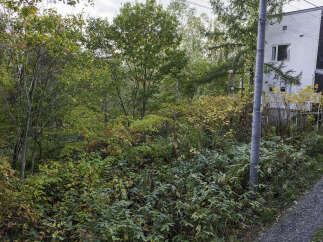 Discover this charming property nestled amidst vibrant autumn foliage, offering a serene and picturesque setting.