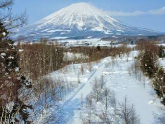 Land for sale in Toyooka