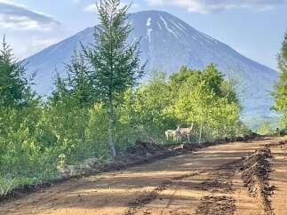 Discover a unique property offering breathtaking views of a majestic mountain, possibly a dormant volcano, serving as a stunning backdrop.