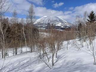 Experience the serene beauty of a snow-covered landscape with a majestic mountain peak in the background.
