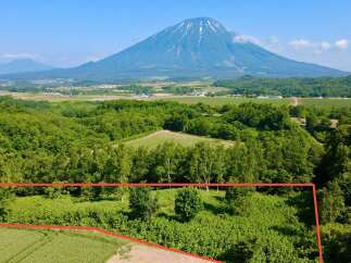Discover this expansive parcel of land, perfect for development or agricultural pursuits, offering breathtaking views of a majestic mountain.